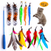 11PCS Cat Feather Toy Set – Replacement Feather Heads & Retractable Cat Wand Interactive Teaser Toys - BIG FRENCHIES