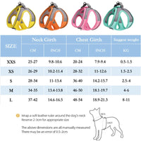 Adjustable Dog Harness & Leash Set for Small Dogs – Comfortable & Safe Walking Gear - BIG FRENCHIES