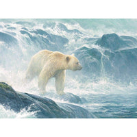 Salmon Watch - Spirit Bear 500 Piece Jigsaw Puzzle Cobble Hill