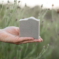 Salt + Sea Bar Handmade Tallow and Goat Milk Soap Bar - BIG FRENCHIES