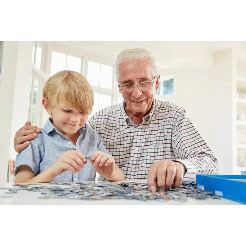 San Francisco Metropuzzle 1000 Piece Jigsaw Puzzle Geotoys - BIG FRENCHIES