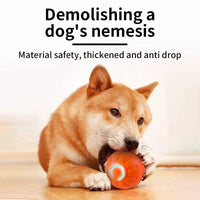 Smart Interactive Dog Toy Ball - BIG FRENCHIES