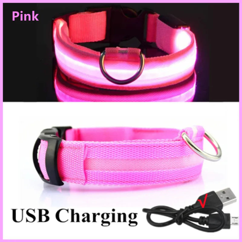 LED Pet Dog Collar for Night Safety | Bright USB Rechargeable - BIG FRENCHIES
