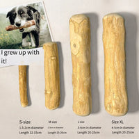 Coffee Wooden Dog Chew Stick – Tooth Pressure Relief Toy - BIG FRENCHIES