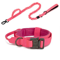 Durable Nylon Dog Collar with Reflective Leash Set - BIG FRENCHIES