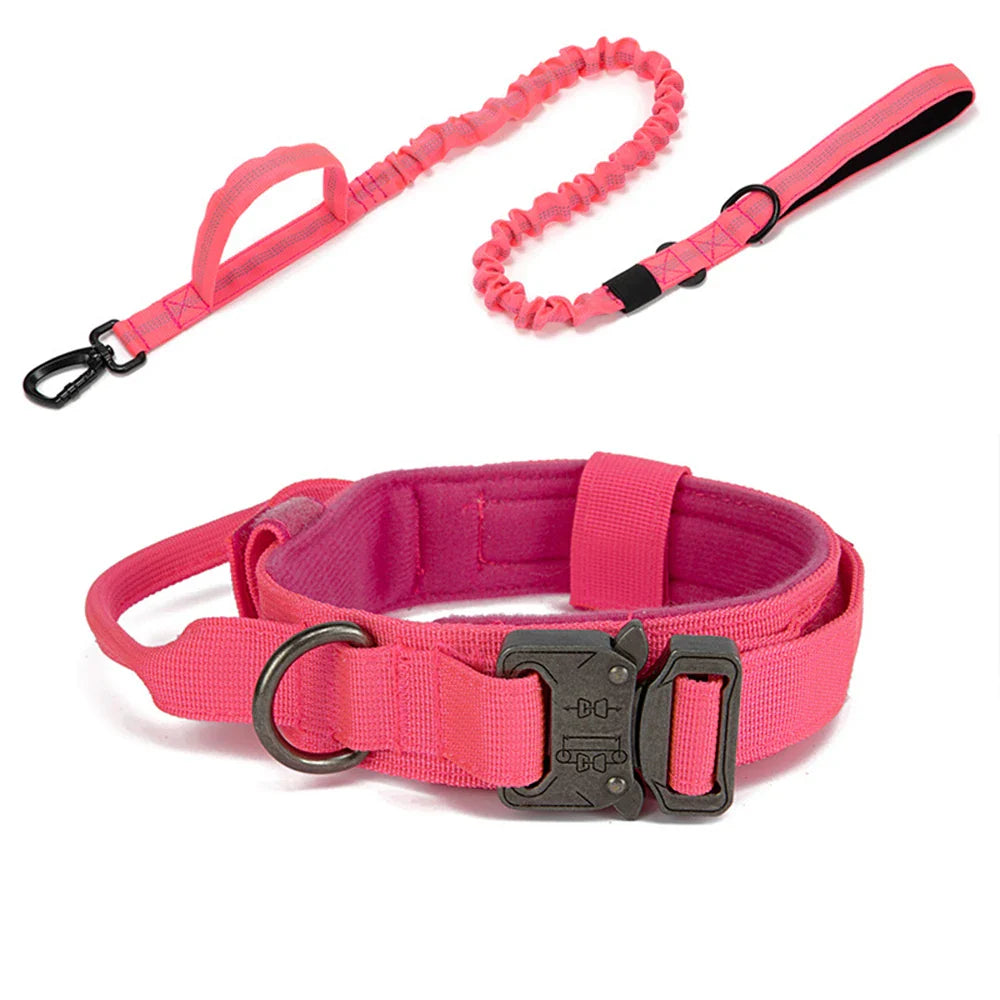 Durable Nylon Dog Collar with Reflective Leash Set - BIG FRENCHIES