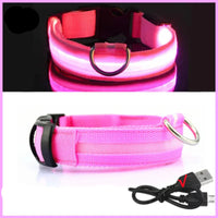 LED Pet Dog Collar for Night Safety | Bright USB Rechargeable - BIG FRENCHIES