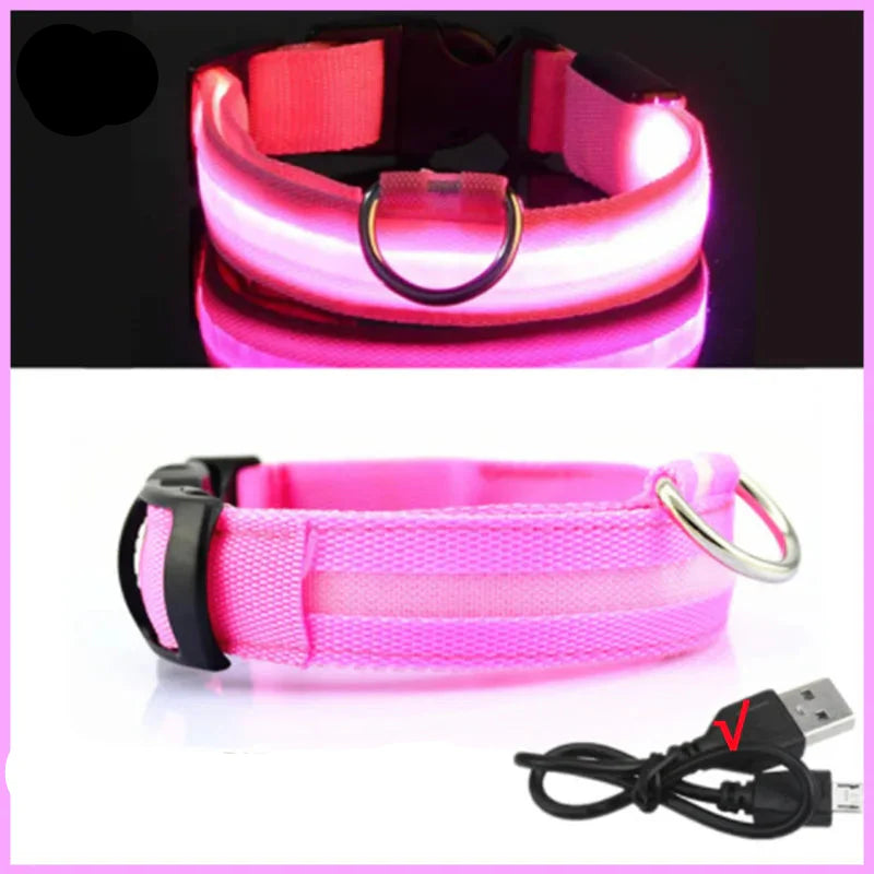 LED Pet Dog Collar for Night Safety | Bright USB Rechargeable - BIG FRENCHIES