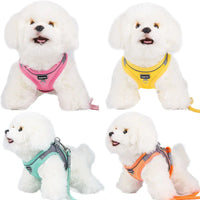 Adjustable Dog Harness & Leash Set for Small Dogs – Comfortable & Safe Walking Gear - BIG FRENCHIES
