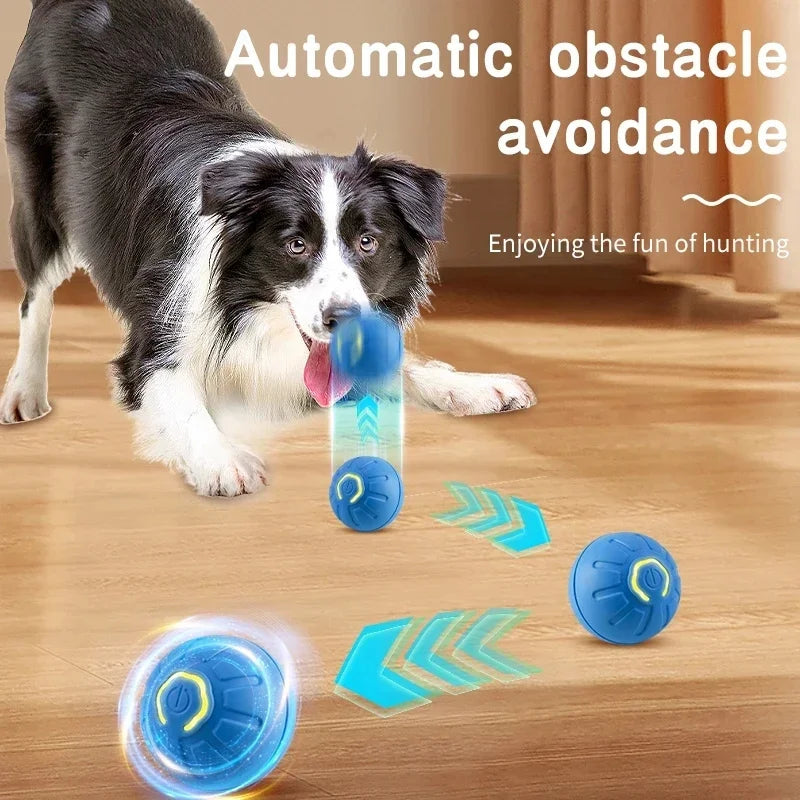 Smart Interactive Dog Toy Ball - BIG FRENCHIES