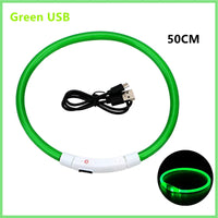 LED Pet Dog Collar for Night Safety | Bright USB Rechargeable - BIG FRENCHIES