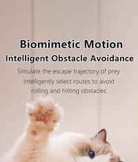 Smart Cat Toy Ball: Auto-Rolling for Active Play - BIG FRENCHIES