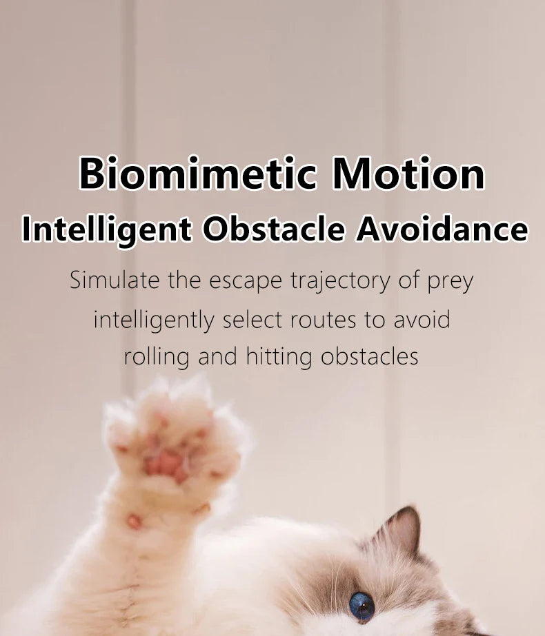 Smart Cat Toy Ball: Auto-Rolling for Active Play - BIG FRENCHIES