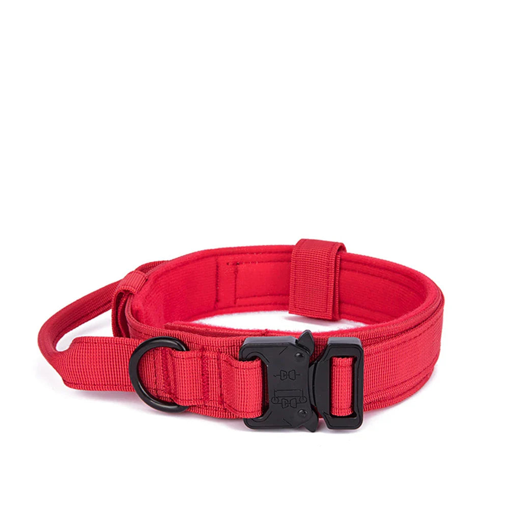 Durable Nylon Dog Collar with Reflective Leash Set - BIG FRENCHIES