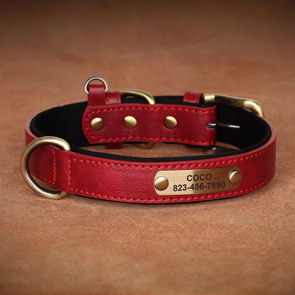 Personalized PU Leather Dog Collar with Custom Engraved ID Tag - BIG FRENCHIES