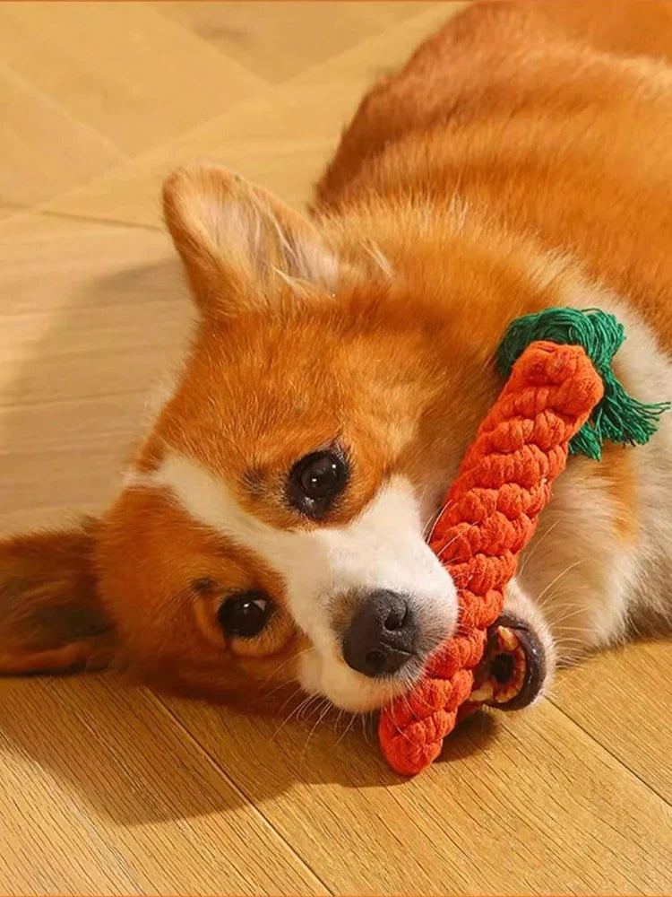 Durable Rope Knot Dog Toy – Hand-Woven Cotton Chew Toy for Small & Medium Dogs - BIG FRENCHIES