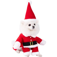 Halloween Dagger Pet Costume - Funny Knife-Holding Dog & Cat Standing Dress for Festival Dress-Up