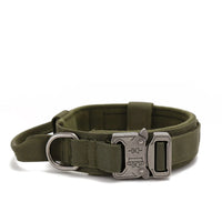 Durable Nylon Dog Collar with Reflective Leash Set - BIG FRENCHIES
