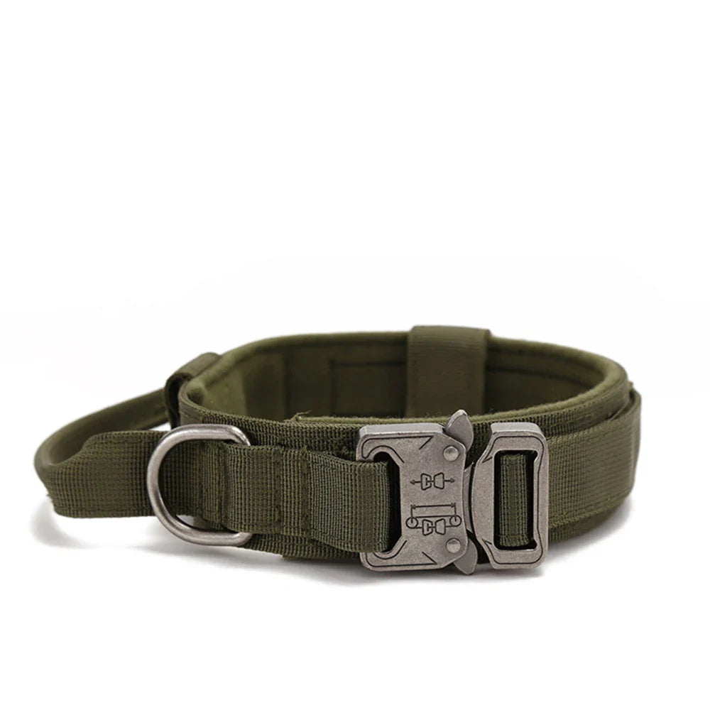 Durable Nylon Dog Collar with Reflective Leash Set - BIG FRENCHIES