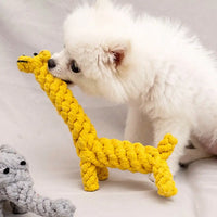 Durable Rope Knot Dog Toy – Hand-Woven Cotton Chew Toy for Small & Medium Dogs - BIG FRENCHIES