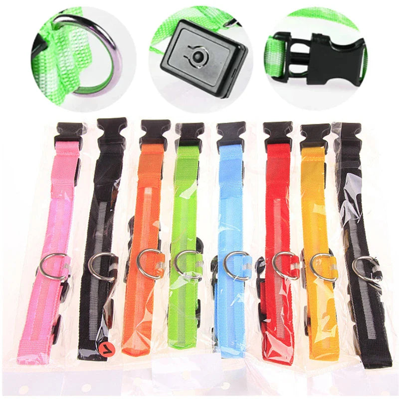 LED Pet Dog Collar for Night Safety | Bright USB Rechargeable - BIG FRENCHIES