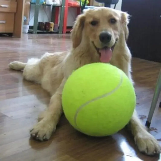 Giant Dog Tennis Ball – 7/8/9.5 Inch Chew & Training Toy - BIG FRENCHIES