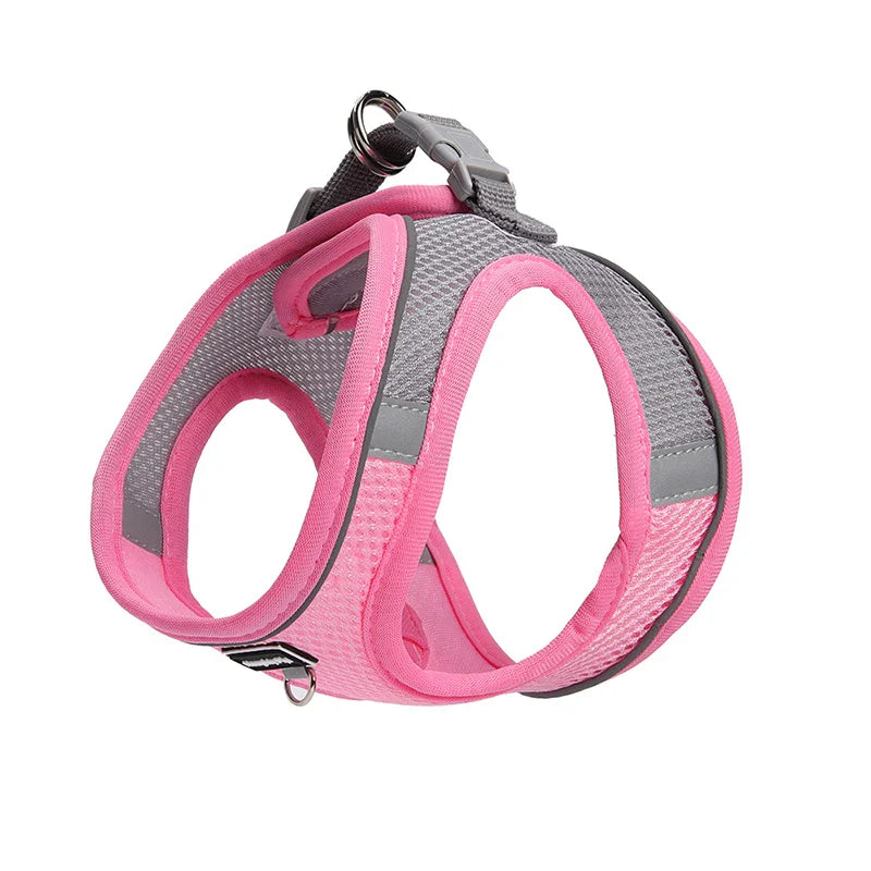 Adjustable Dog Harness & Leash Set for Small Dogs – Comfortable & Safe Walking Gear - BIG FRENCHIES