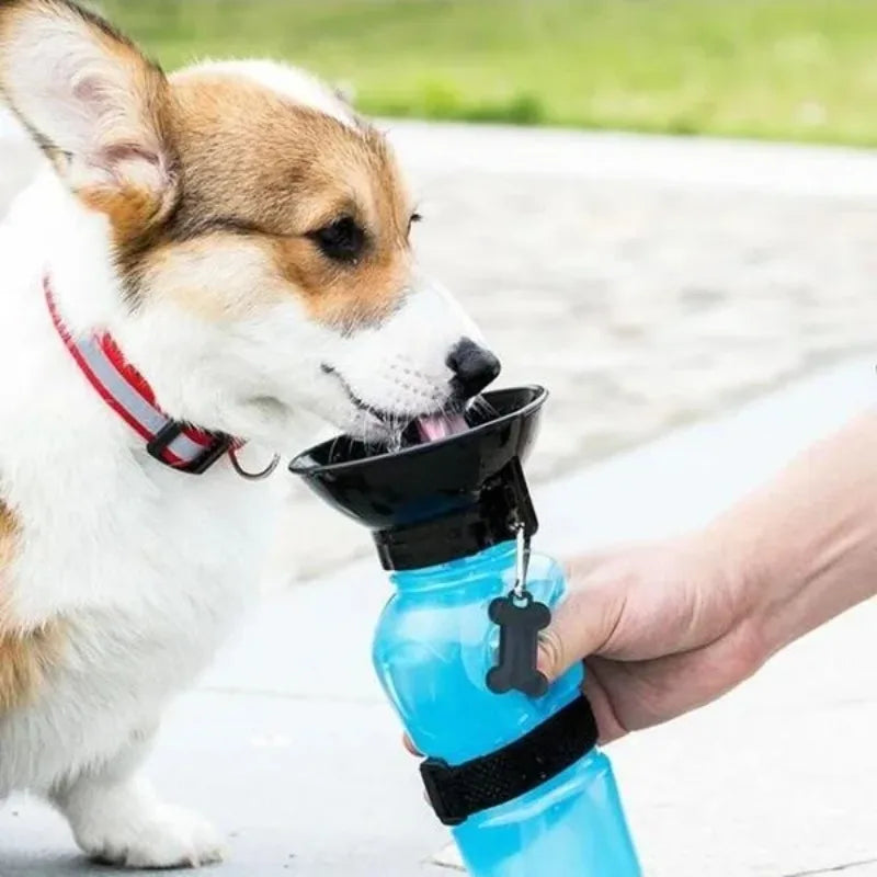500ml Outdoor Portable Pet Water Bottle – Leakproof Dog & Cat Travel Cup with Drinking Bowl Feeder - BIG FRENCHIES
