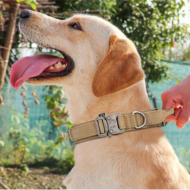 Durable Nylon Dog Collar with Reflective Leash Set - BIG FRENCHIES