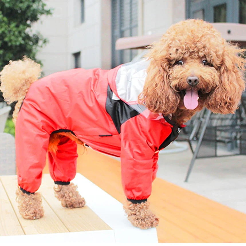 Waterproof Dog Raincoat | Keep Your Pup Dry & Happy in Any Storm - BIG FRENCHIES