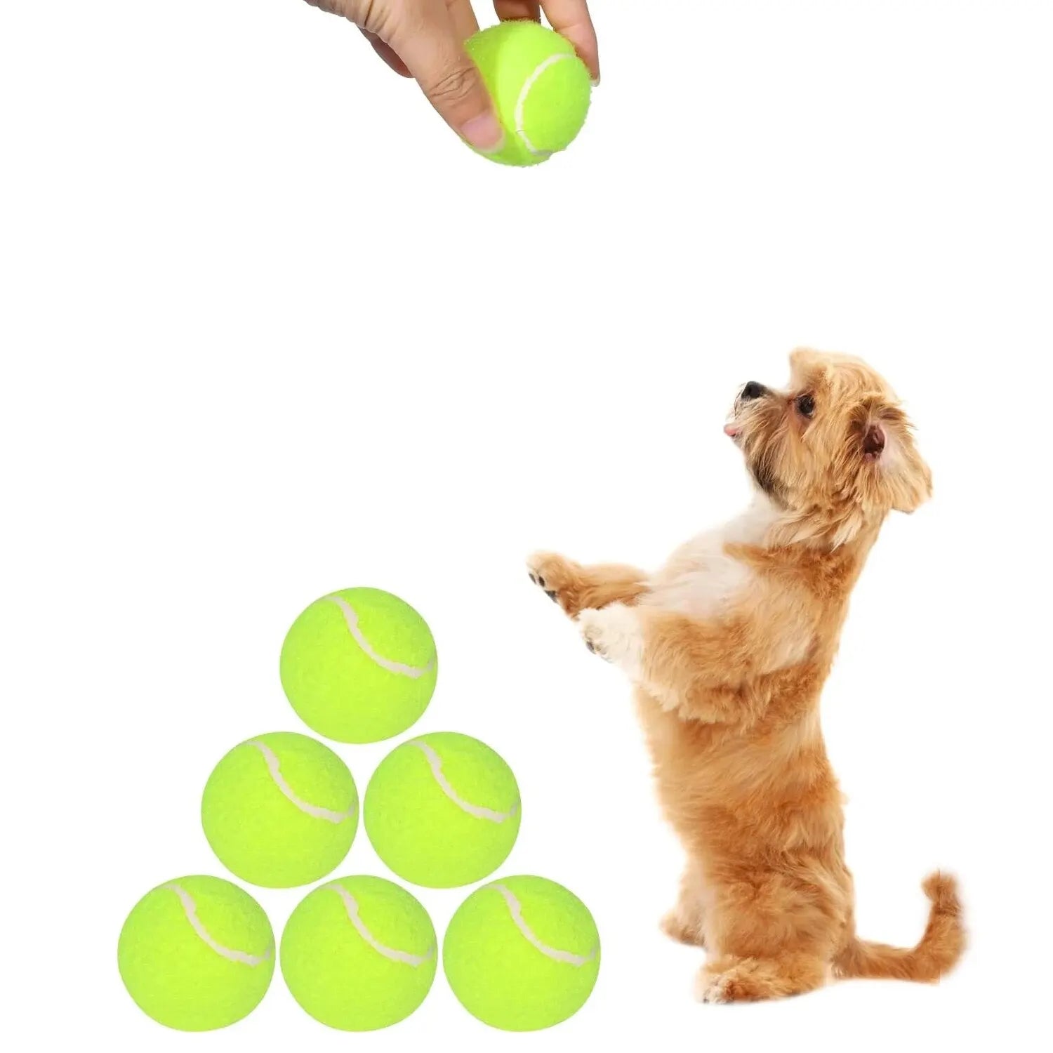 Tennis Balls for Dogs – 2-Inch Small Dog Balls Compatible with Automatic Ball Launchers (12 Pack) - BIG FRENCHIES