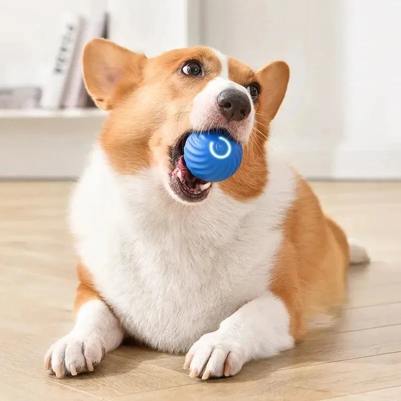 Smart Interactive Dog Toy Ball - BIG FRENCHIES