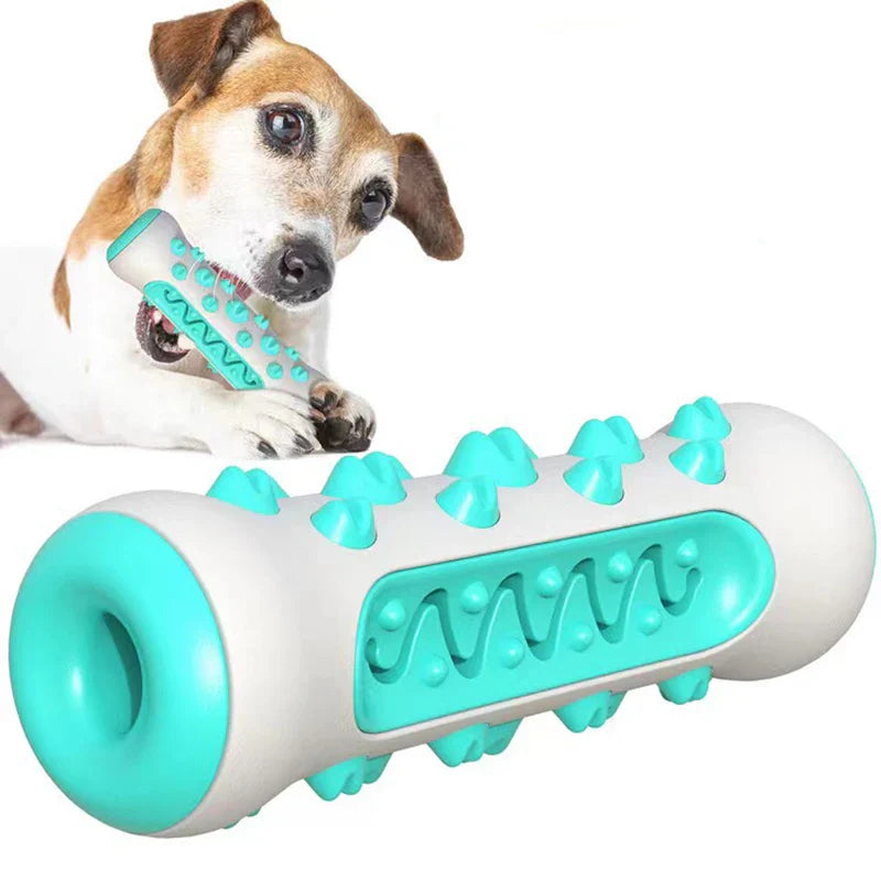 Chew-Resistant Rubber Dog Toy for Dental Health - BIG FRENCHIES