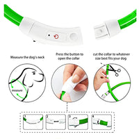 LED Pet Dog Collar for Night Safety | Bright USB Rechargeable - BIG FRENCHIES