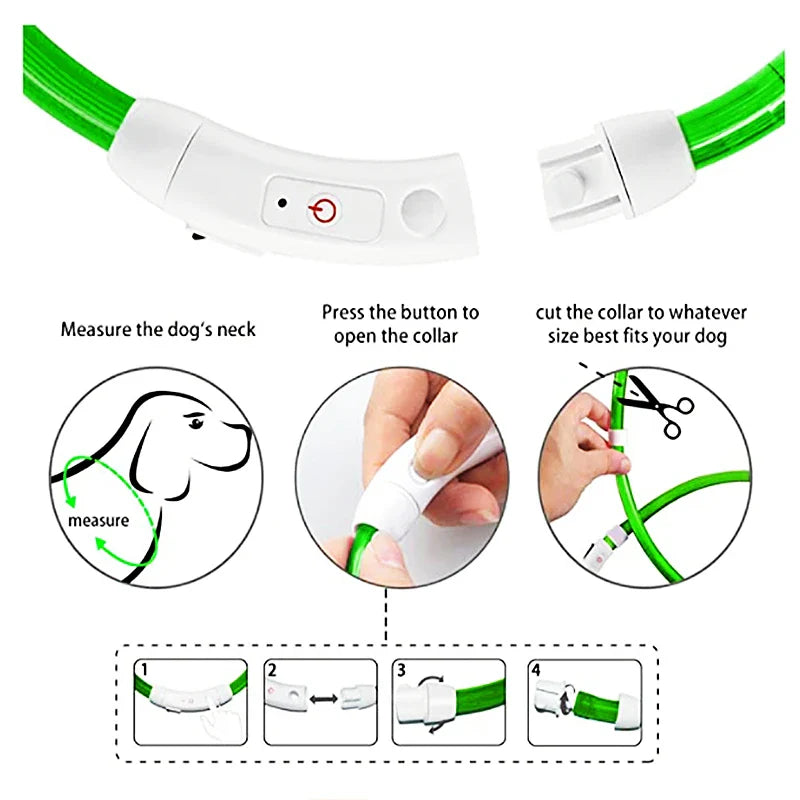 LED Pet Dog Collar for Night Safety | Bright USB Rechargeable - BIG FRENCHIES