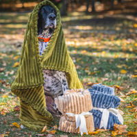 Scout Blankie Double-Sided Plush Dog Blanket - BIG FRENCHIES
