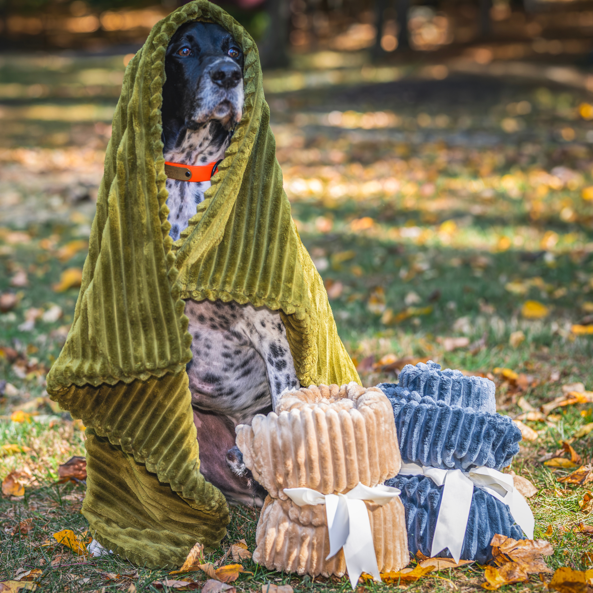 Scout Blankie Double-Sided Plush Dog Blanket - BIG FRENCHIES