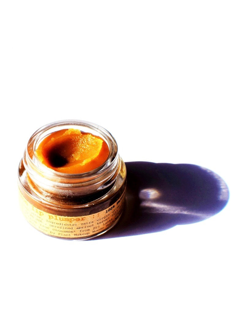 Cinnamon Lip Plumper - BIG FRENCHIES