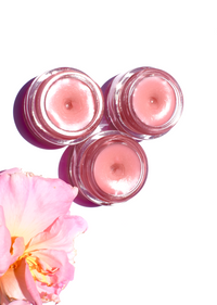 Strawberry Dreamsicle Lip Balm Scrub - BIG FRENCHIES