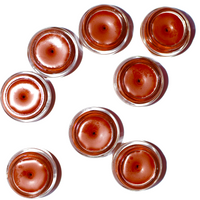 Madder Root Lip Tint - BIG FRENCHIES