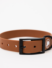 The Modern Dog Company - Coco Brown Collar (Weather + Odor Resistant) - BIG FRENCHIES
