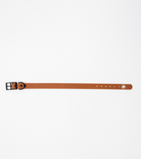 The Modern Dog Company - Coco Brown Collar (Weather + Odor Resistant) - BIG FRENCHIES