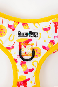 The Modern Dog Company - Yeehaw Harness - BIG FRENCHIES