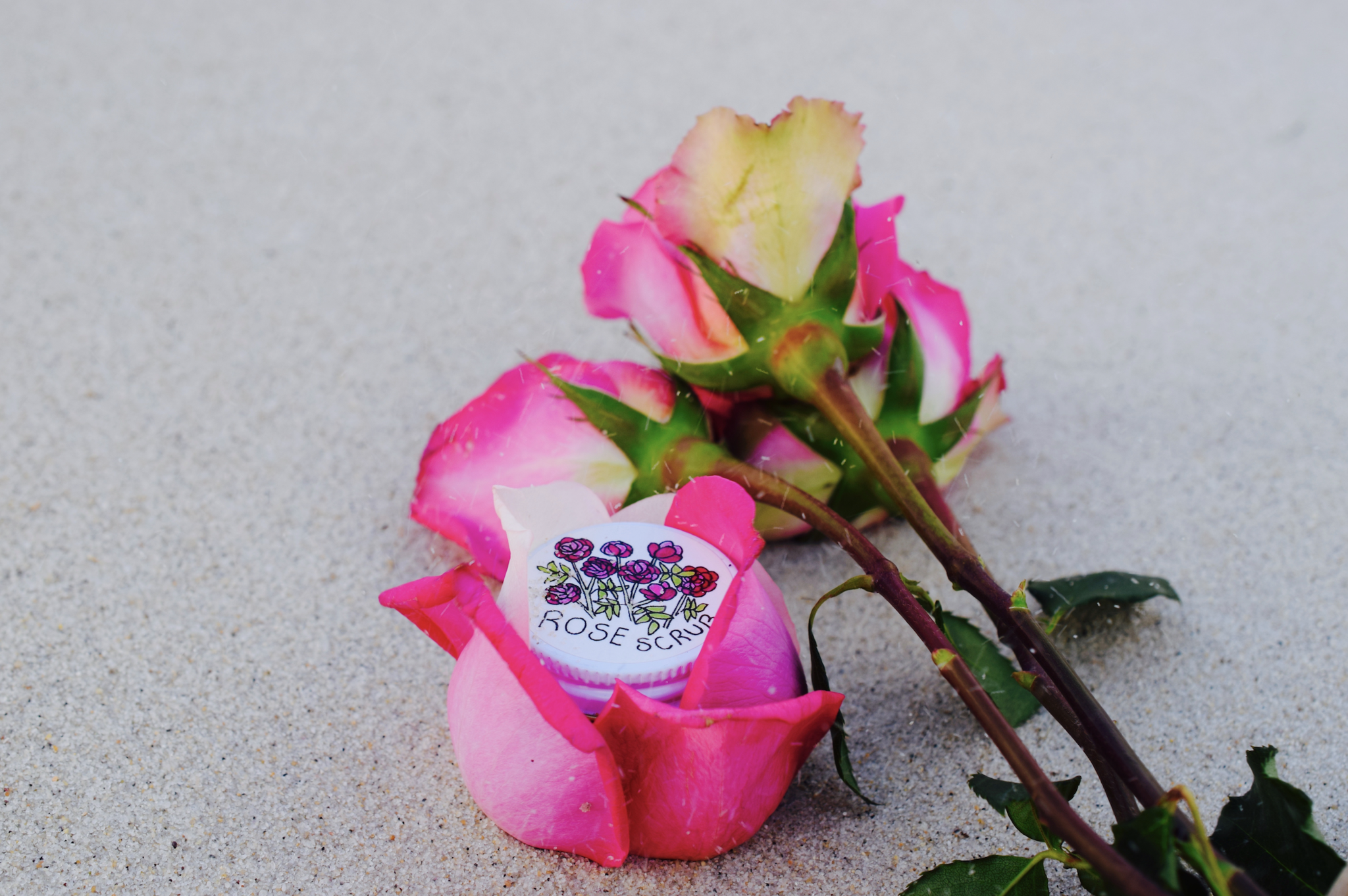 Beach Rose Scrub - BIG FRENCHIES