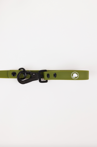 The Modern Dog Company - Olive Green Adjustable Leash - BIG FRENCHIES