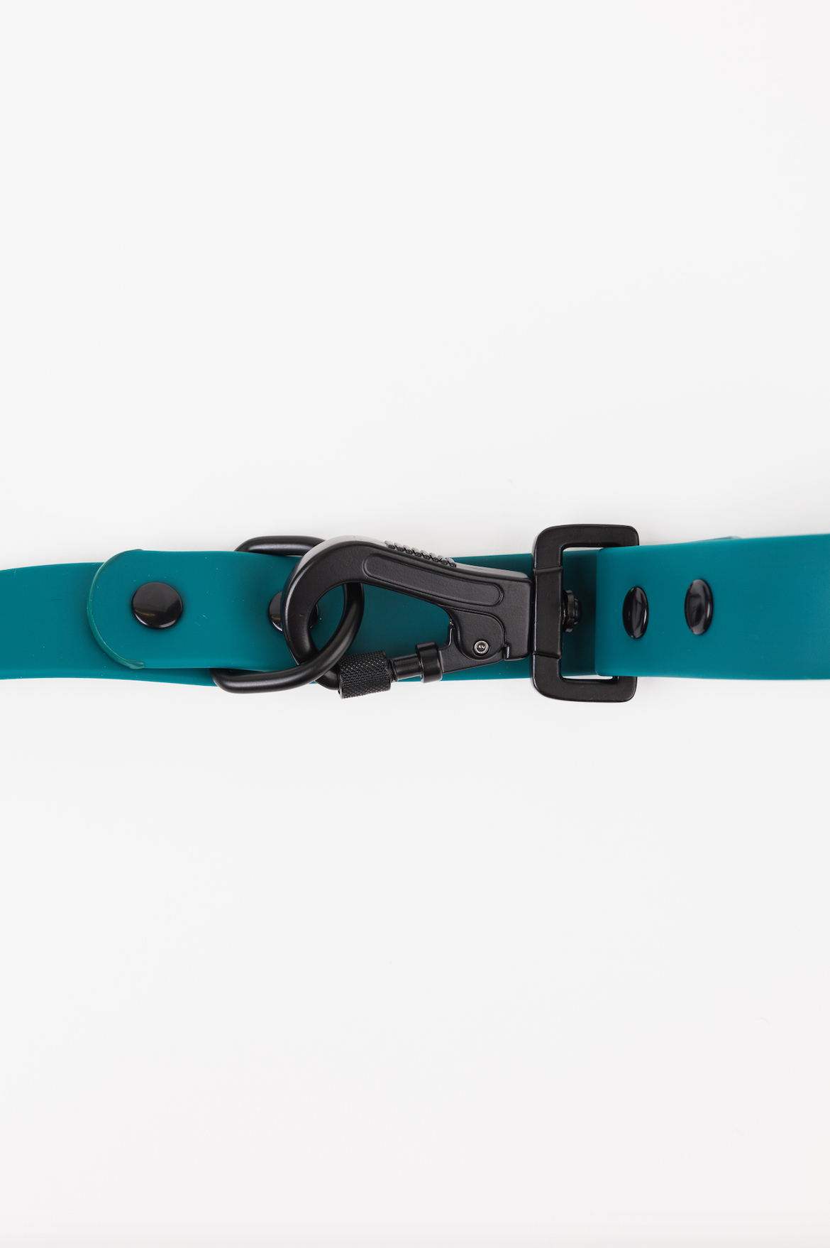 The Modern Dog Company - Forest Green Adjustable Leash - BIG FRENCHIES