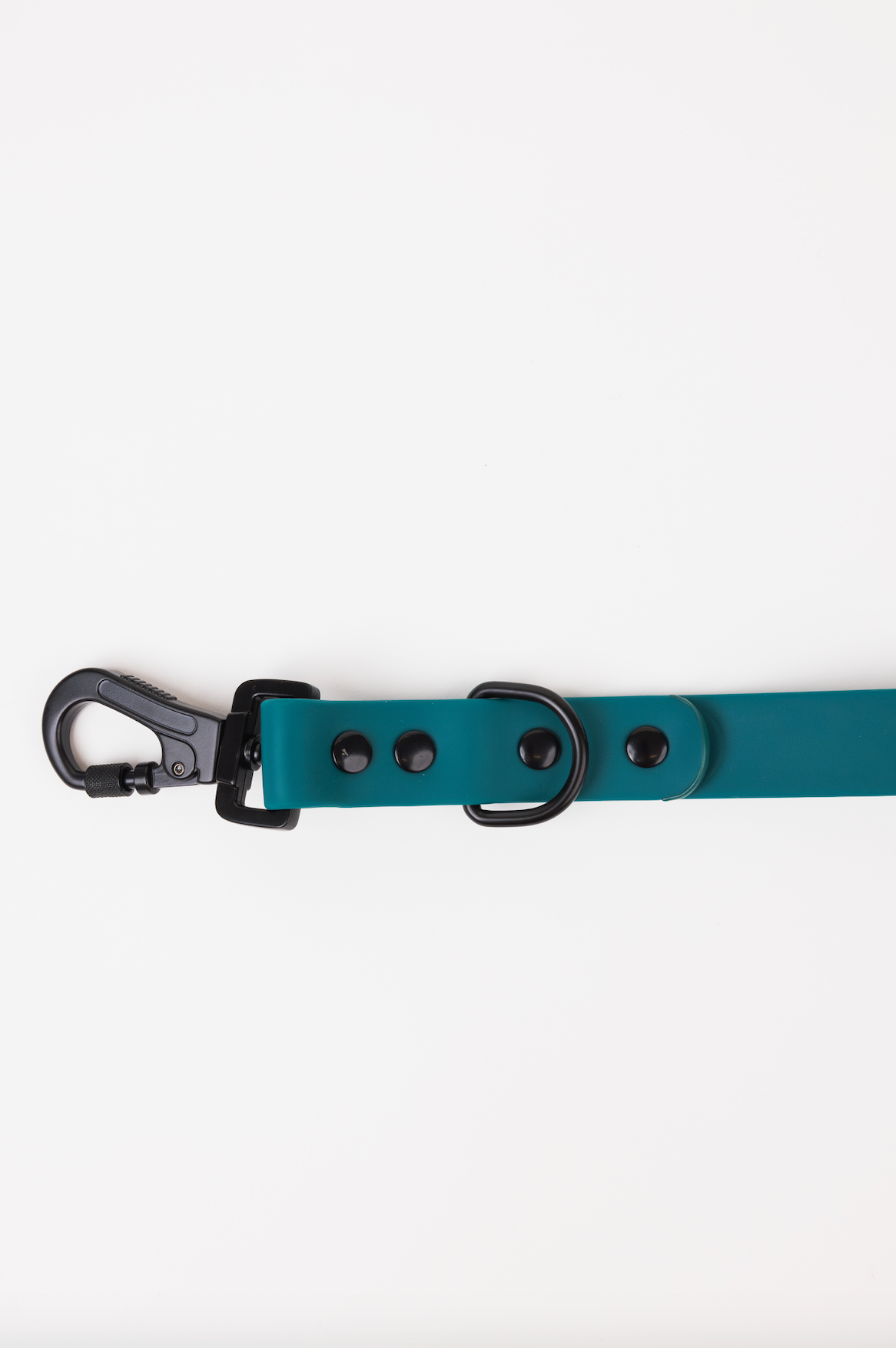 The Modern Dog Company - Forest Green Adjustable Leash - BIG FRENCHIES