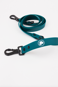 The Modern Dog Company - Forest Green Adjustable Leash - BIG FRENCHIES