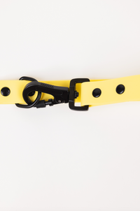 The Modern Dog Company - Daffodil Yellow Adjustable Leash - BIG FRENCHIES