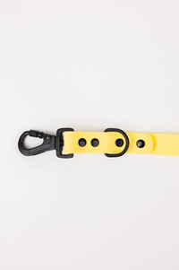 The Modern Dog Company - Daffodil Yellow Adjustable Leash - BIG FRENCHIES